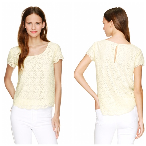 Aritzia Delicate Pink Lace Top - Picture 4 of 6